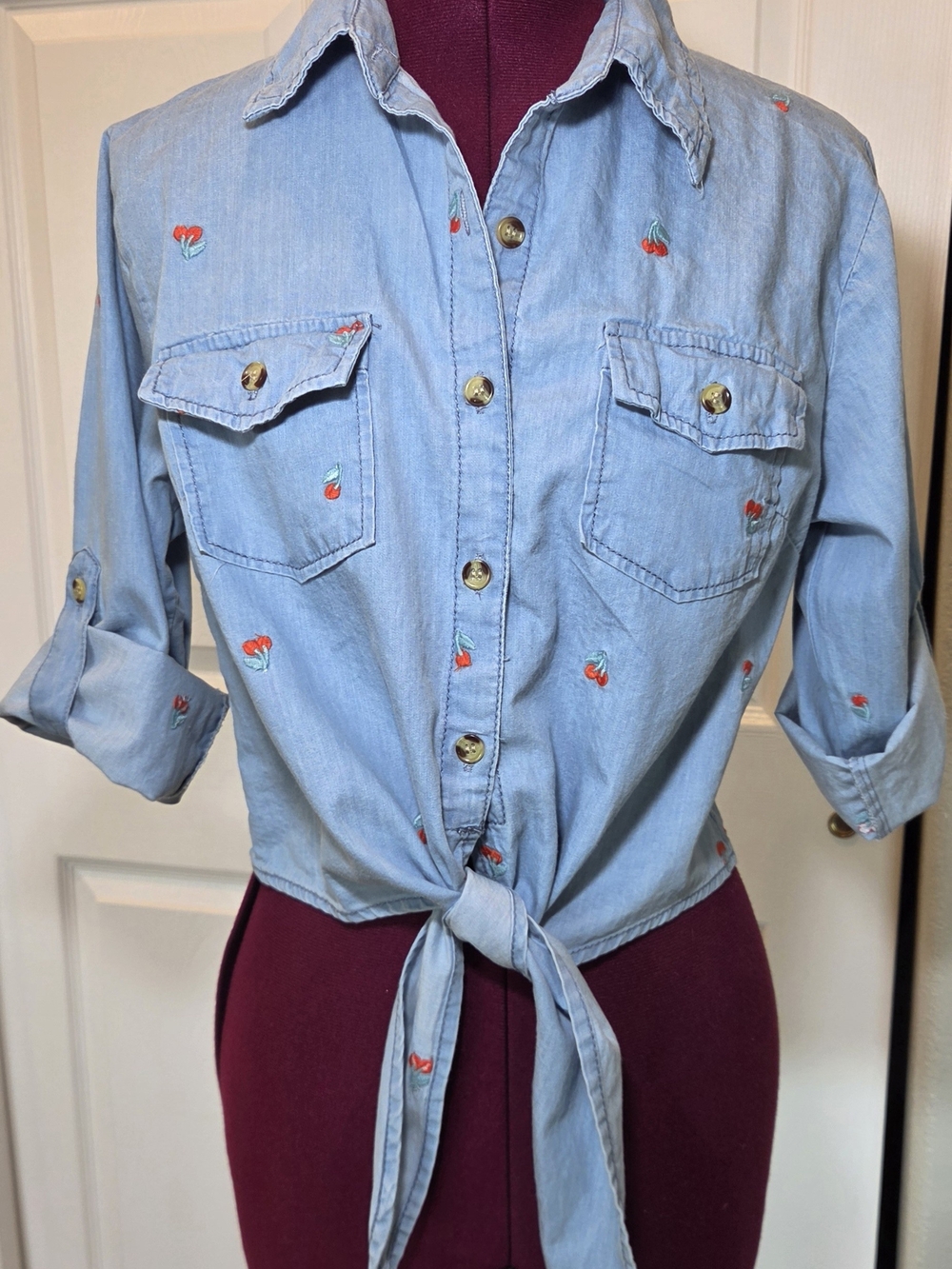 Cottagecore Rockabilly Chambray Color Embroidered Tie-Front Button-Down Shirt